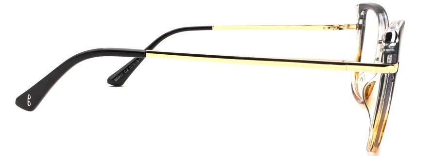 Optica 95317
