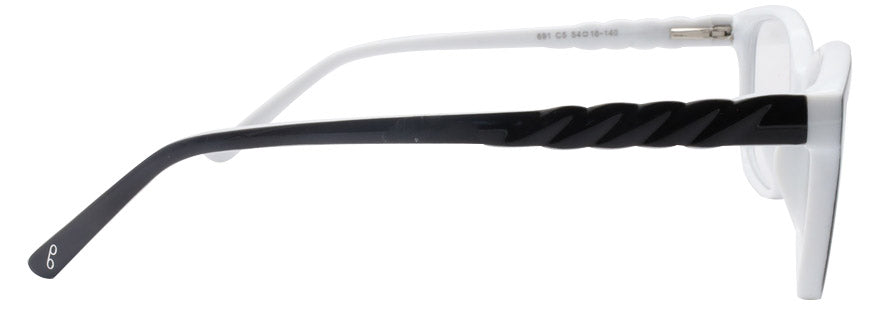 Optica 691