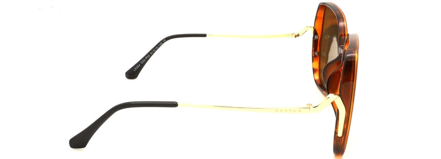 Cactus LS304