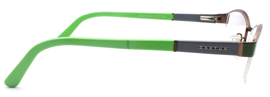 Cactus S1172