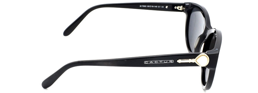 Cactus S17503