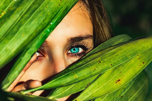 Contact and lenses