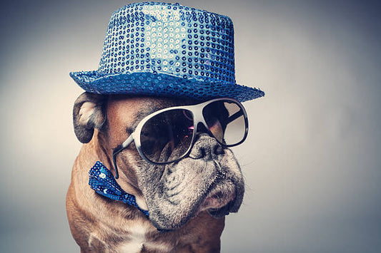 Your Glasses Sit Too Low on Your Nose? Here’s How to Fix That Instantly