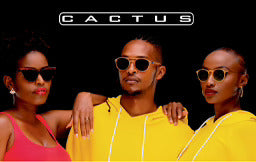 Buy Cactus Sunglasses at Optica Rwanda