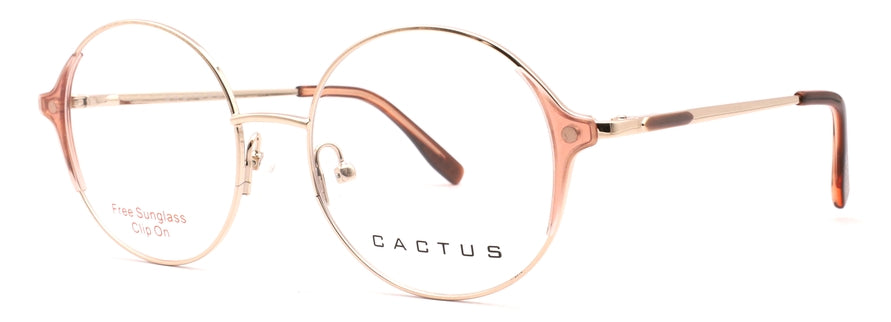 Cactus 69957