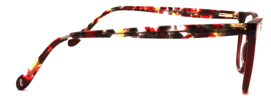 Optica 81004
