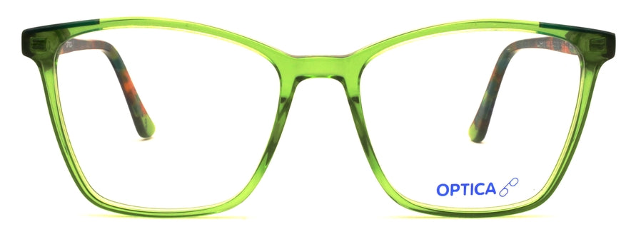 Optica 81008