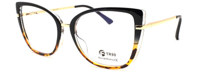 Optica 95317