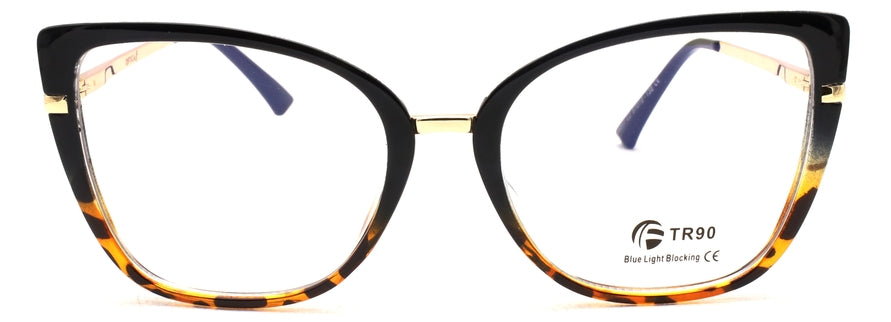 Optica 95317