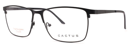 Cactus C8024