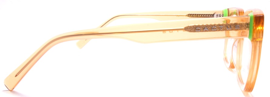 Cactus FD1111