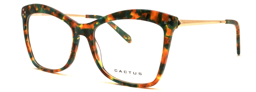 Cactus Archetype — 45 Degree