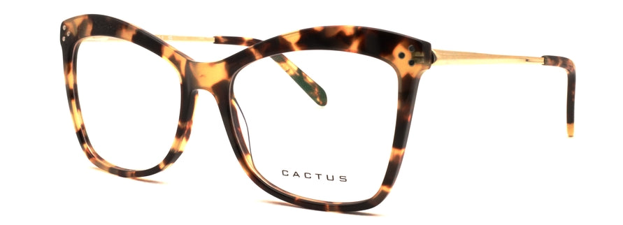 Cactus Archetype — 45 Degree