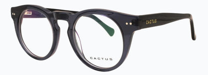 Cactus Beguile