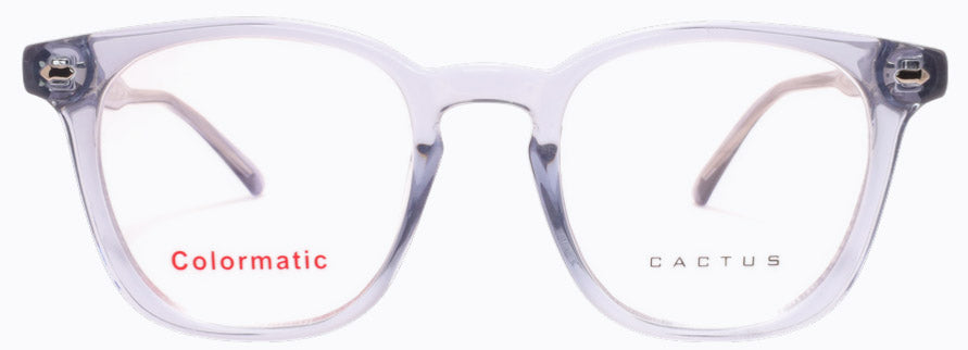 Cactus 52613 — Front