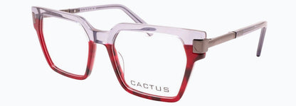 Cactus Aanchi — 45 Degree