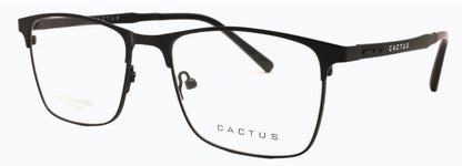 Cactus Dreamer — 45 Degree