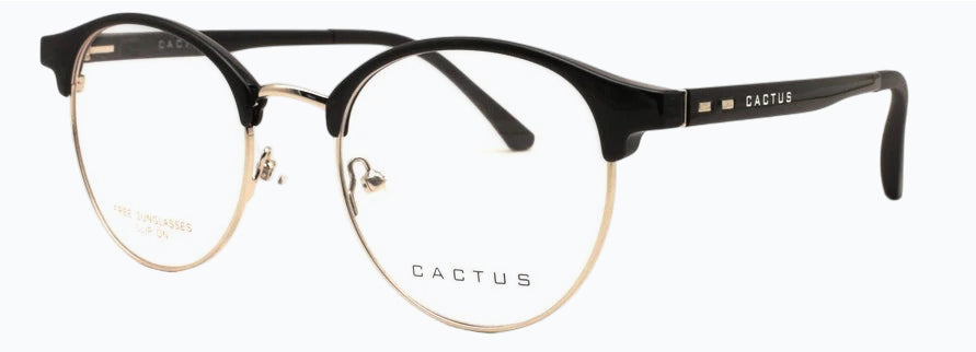 Cactus Flair — 45 Degree