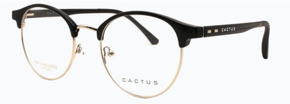 Cactus Flair — 45 Degree