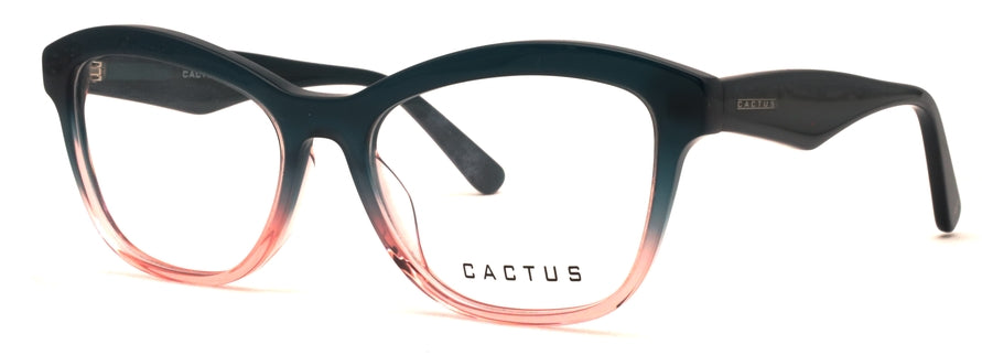 Cactus Harmony