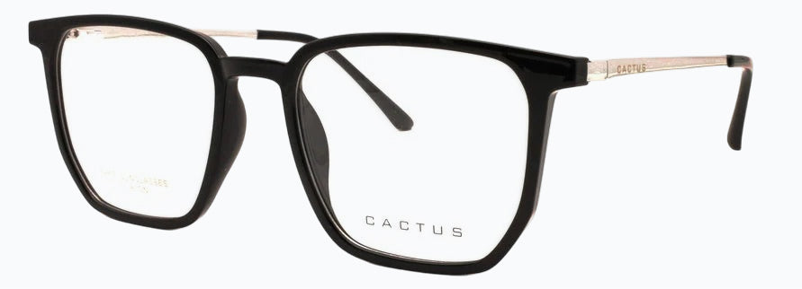 Cactus Kinetic — 45 Degree