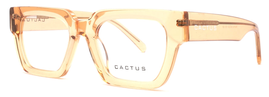 Cactus Maisha