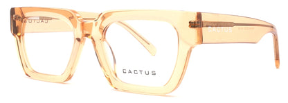 Cactus Maisha
