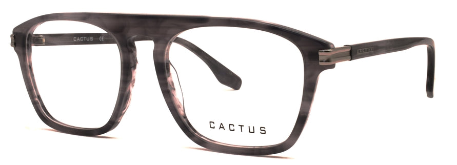 Cactus Nexus