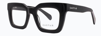 Cactus Ponta