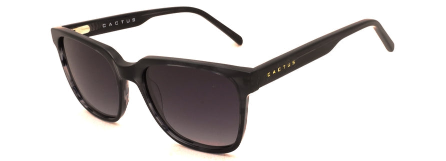 Cactus SS7411