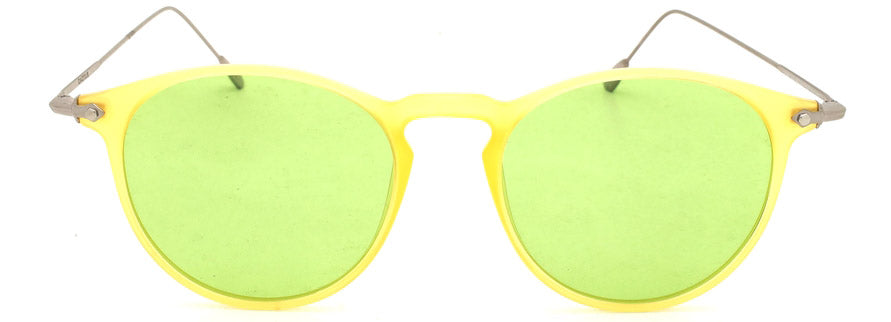Cactus 17056