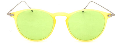 Cactus 17056