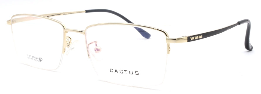 Cactus 18171