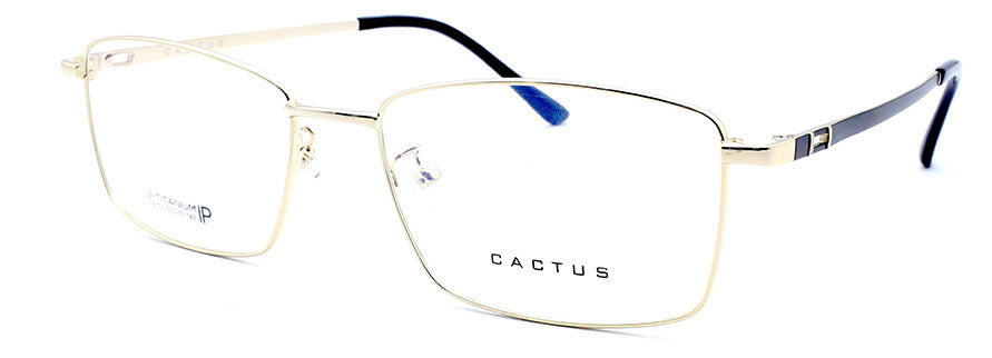 Cactus 18173