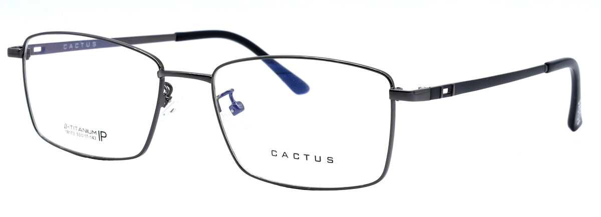 Cactus 18173