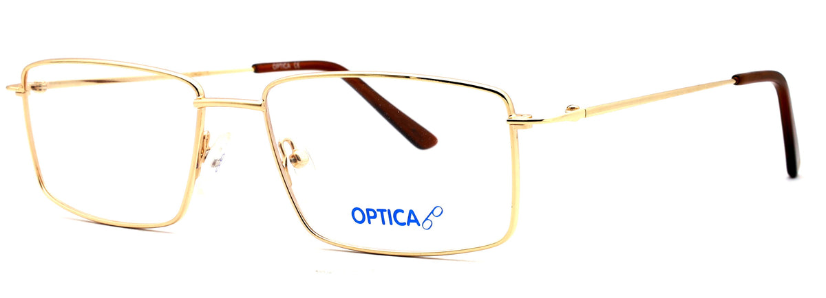 Optica 314
