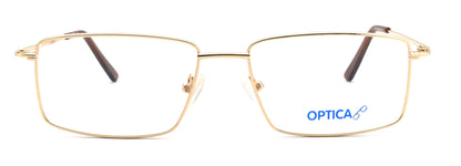 Optica 314