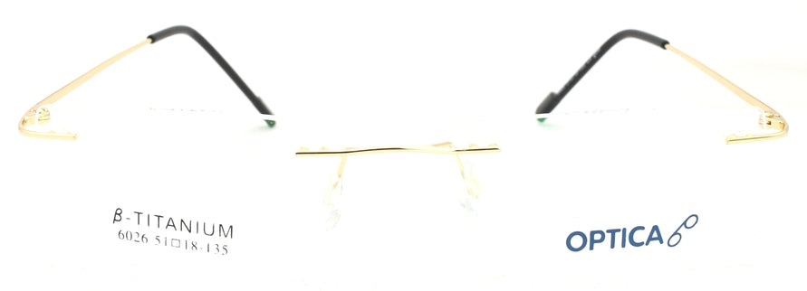 Optica 6026