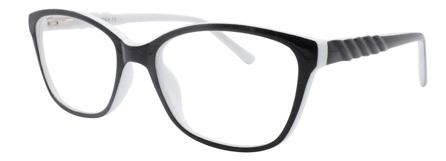 Optica 691