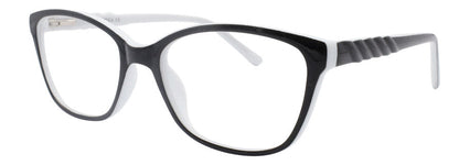 Optica 691
