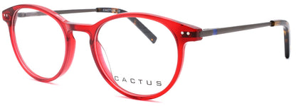 Cactus Diniz