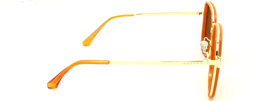 Cactus LS306