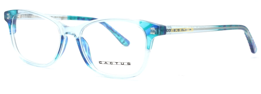Cactus ME003
