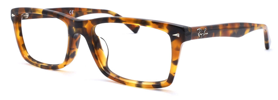 Rayban RX5287F