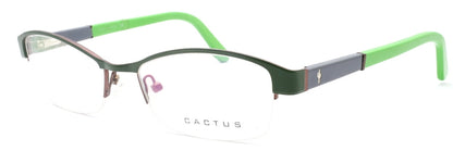 Cactus S1172