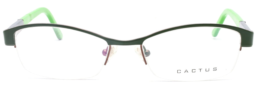 Cactus S1172