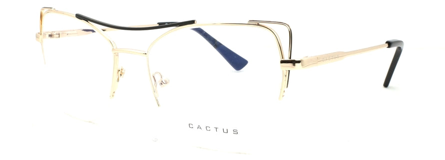 Cactus XC62102