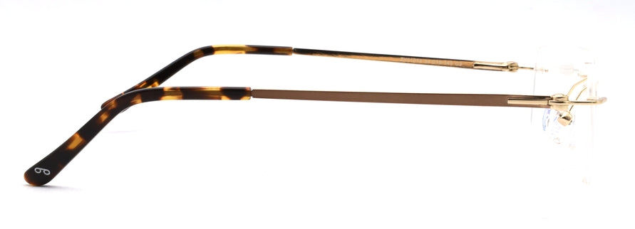 Optica ZY01013