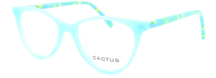 Cactus Autumn