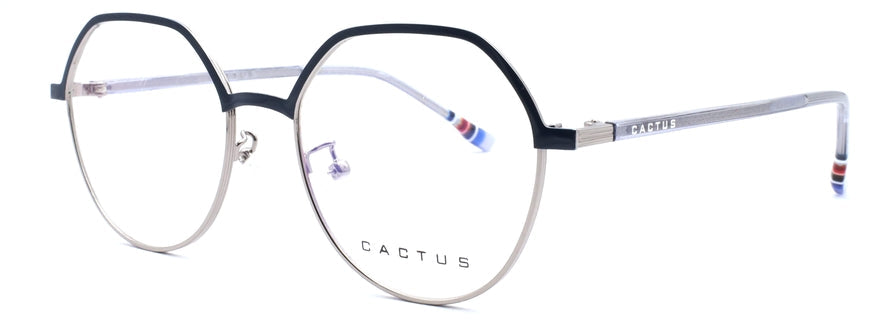 Cactus KBT98569